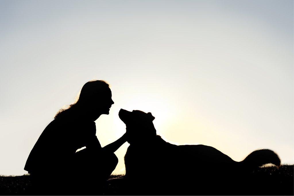 飼い犬の歴史からみる人間との関係について｜犬を知る｜ぷにぷにpaw（ポー）