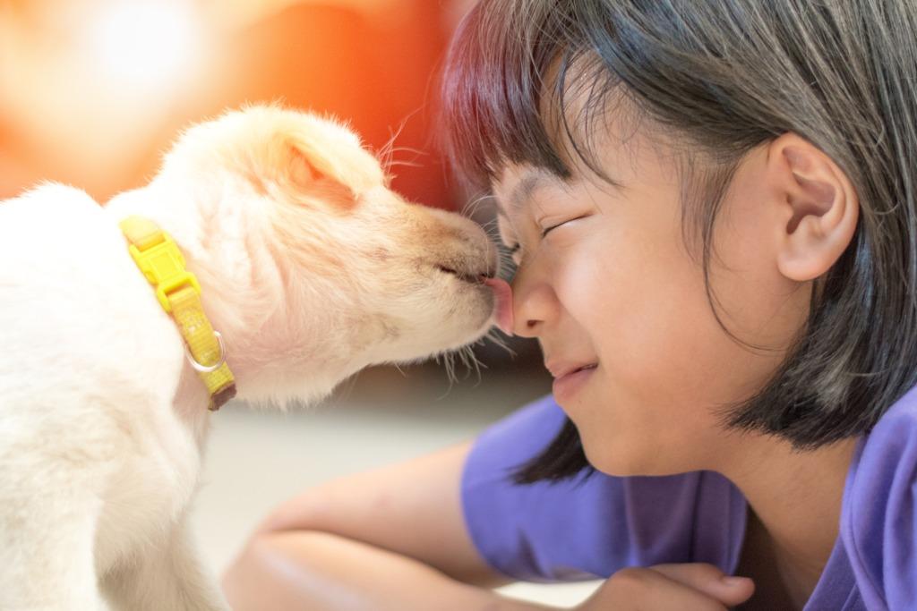 パピークラスとは？～子犬に欠かせない社会化～｜犬を育てる｜ぷにぷにpaw（ポー）